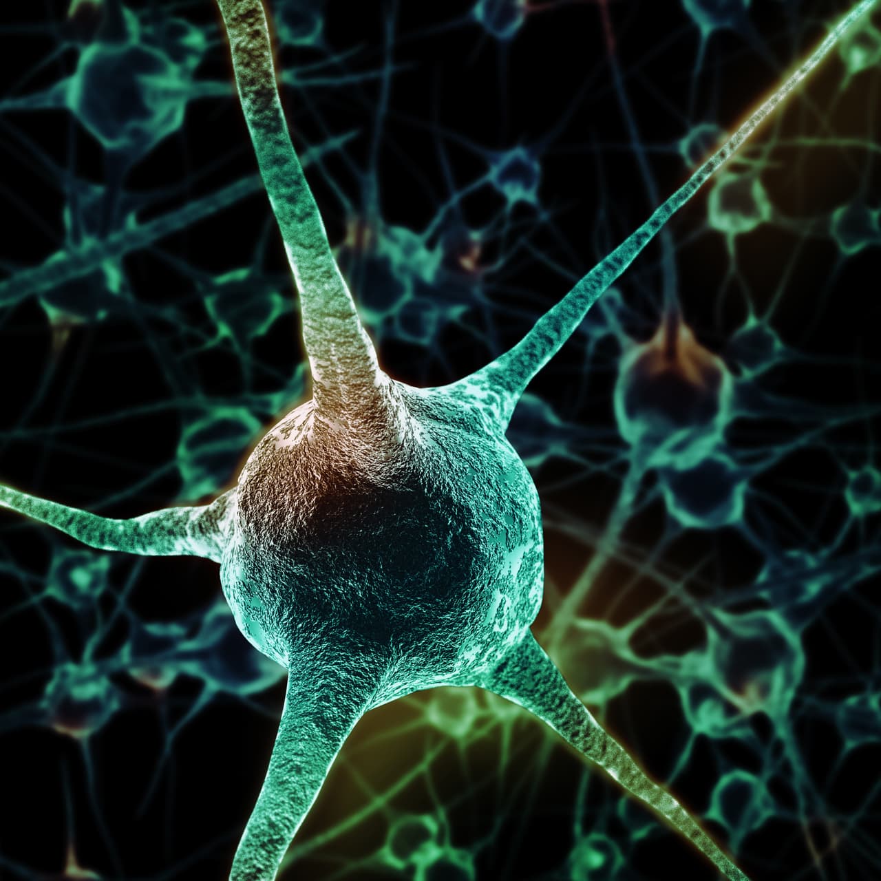 Esto se debe a que se activan las mismas redes cerebrales que funcionan cuando una quemadura leve surge.