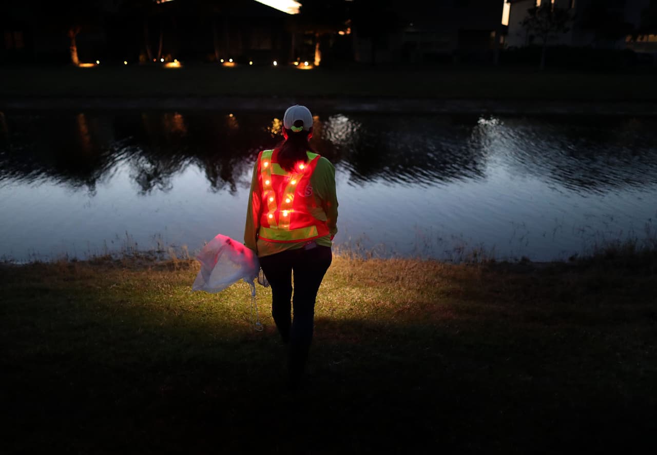 Jeannine Tilford, empleada de una compañía de remoción de sapos con sede en el sur de la Florida, capturó los anfibios que encontró cerca de un lago en la ciudad de West Palm Beach.