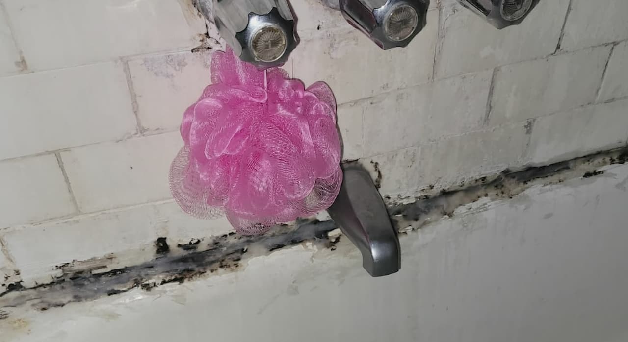 Viven inquilinos pesadilla en departamentos de Manhattan