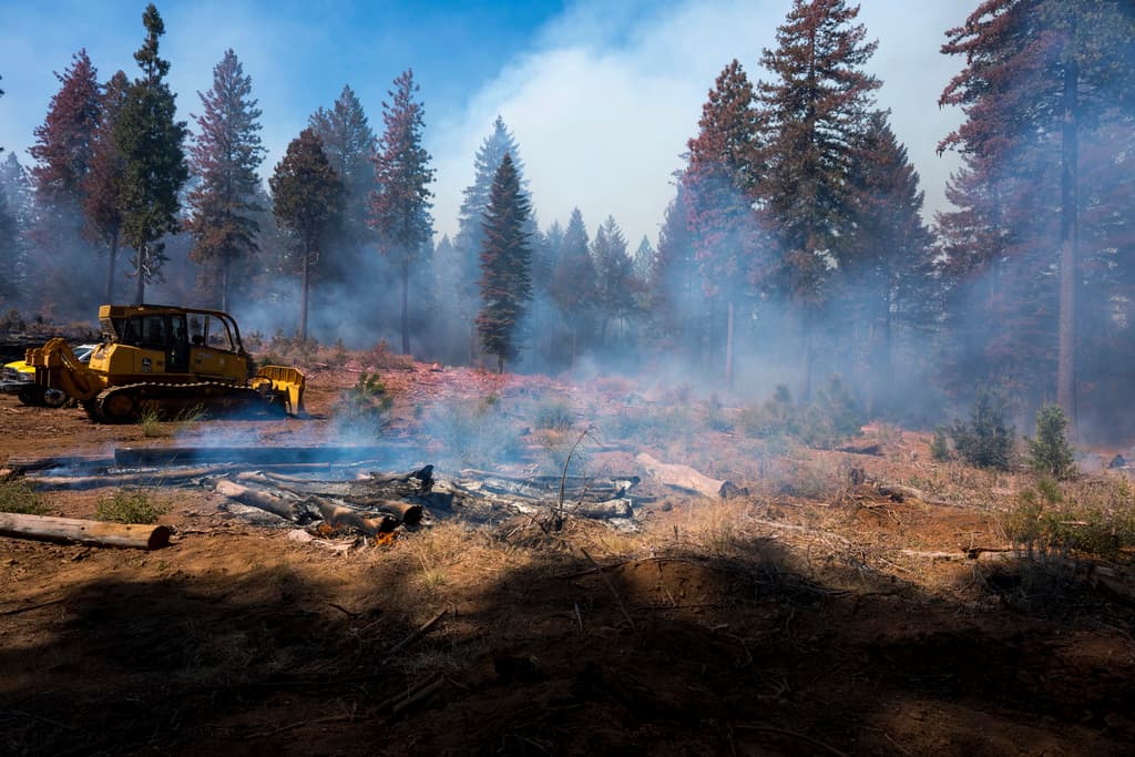 Mientras los bomberos se concentraban en luchar contra el avance de las llamas, en lugares donde ya estaba contenido comenzó la remoción de escombros.