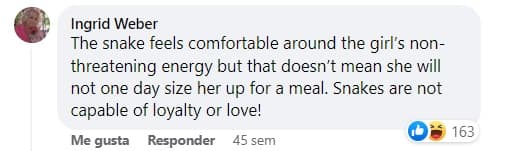 Así contestaron algunos usuarios de redes sociales