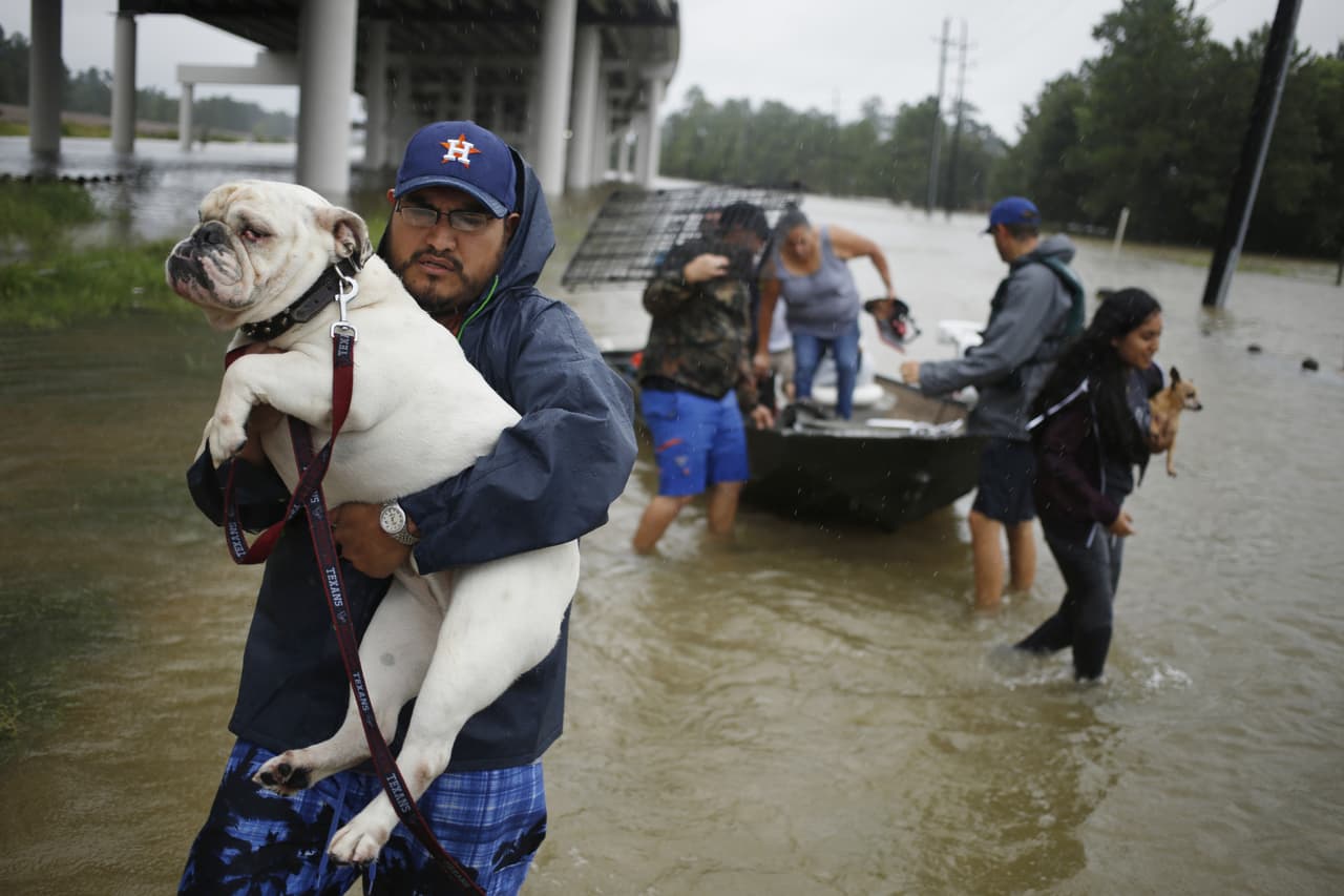 Varios refugiados y sus perros, escapando de la inundación en Spring, al norte de Houston.