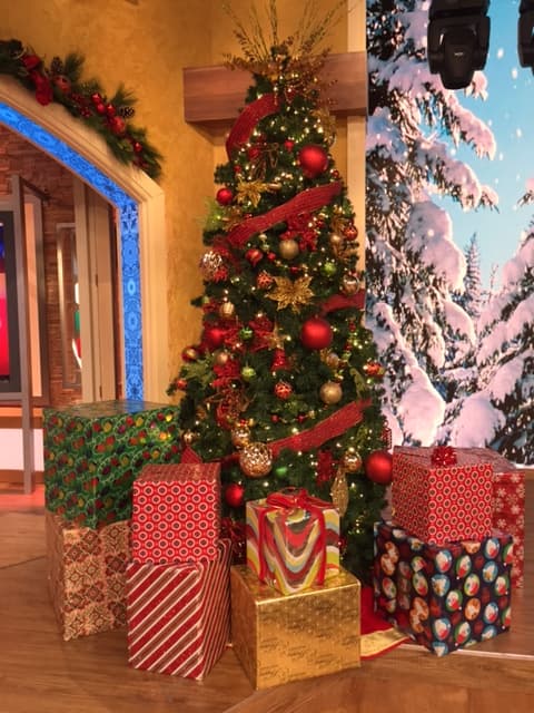 Con el corazón lleno de amor, bendiciones y mucha alegría, los talentos de Despierta América se alistan para la llegada de la Navidad.