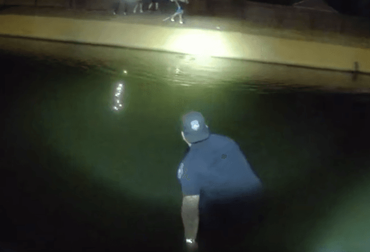 Por fin lograron identificar el punto en el que 
<b>el animalito trataba de mantenerse a flote</b>.