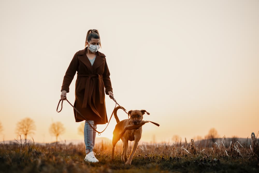El que sigamos en pandemia no significa que tenemos que estar 100% encerrados. Aunque es recomendable si no tienes nada qué hacer en la calle, puedes salir a dar una vuelta por tu calle, saca a tu mascota, tomando por supuesto las medidas pertinentes de usar cubrebocas y manteniendo sana distancia.