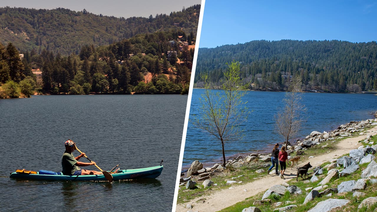 El entorno natural rodeado de árboles y animales silvestres es el espacio perfecto para disfrutar de unas vacaciones o para pasar unas horas con tu familia.