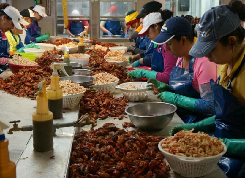 Nueva York aprueba ley para proteger a los trabajadores indocumentados de amenazas con ICE