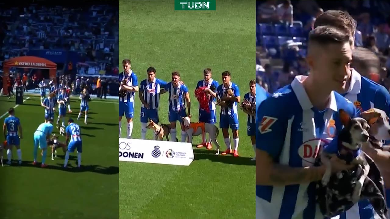 Futbolistas del Espanyol salen a la cancha con 11 perros abandonados