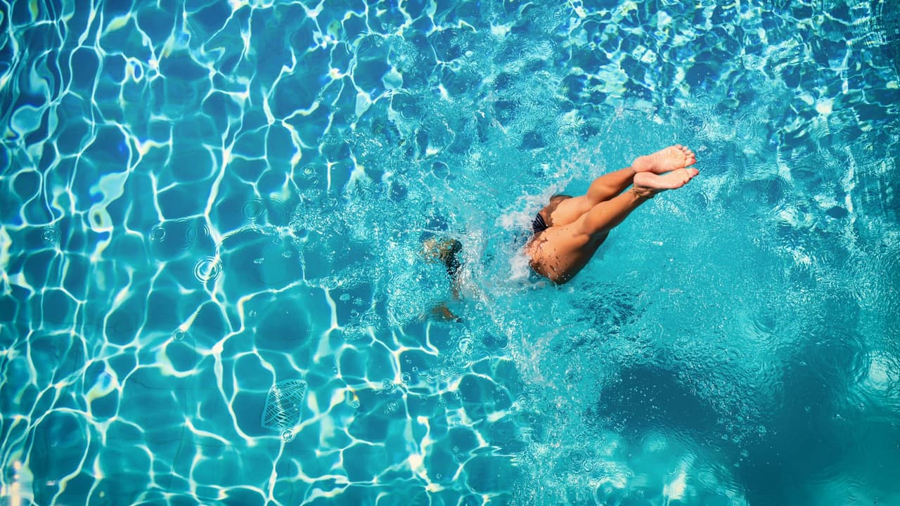 <h3 class="cms-H3-H3"><a href="https://www.plano.gov/1403/Carpenter-Recreation-Center" target="_blank">Carpenter Park:</a></h3>
<h3 class="cms-H3-H3"> piscina techada y tranquila </h3>
<br>Esta alberca cubierta es ideal para quienes buscan calma. Tiene canales de corriente, área para niños pequeños y clases de natación. 
<br>
<a href="https://g.co/kgs/Fbvwh6W" target="_blank">📍 6701 Coit Road </a>
<br>📞 972-208-8087 
<br>
<b>Días sensoriales: </b>🗓️ 13 de junio y 18 de julio, de 11 a.m. a 1 p.m.