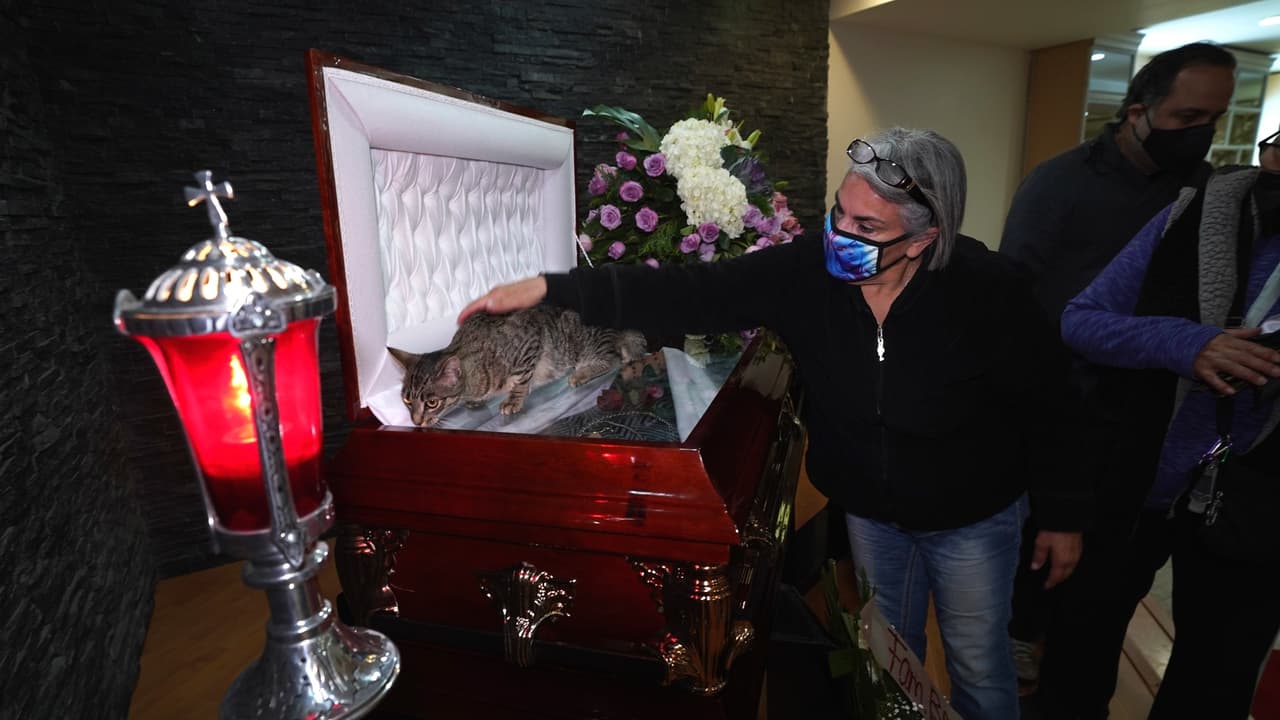 ¿Estás preparado para la muerte? Si no tienes preparativos funerarios, así puedes evitar que los gastos te sorprendan