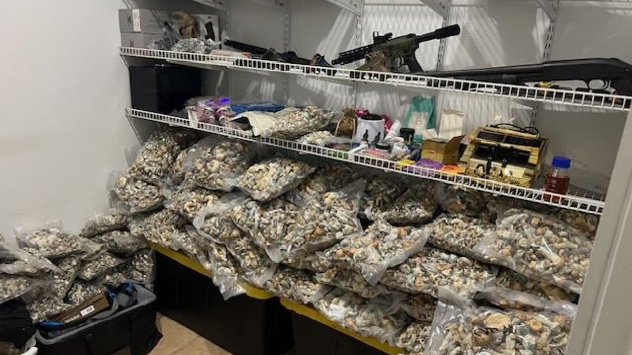 Un hombre arrestado y casi $3 millones en hongos ilegales decomisados, tras envío erróneo de paquete