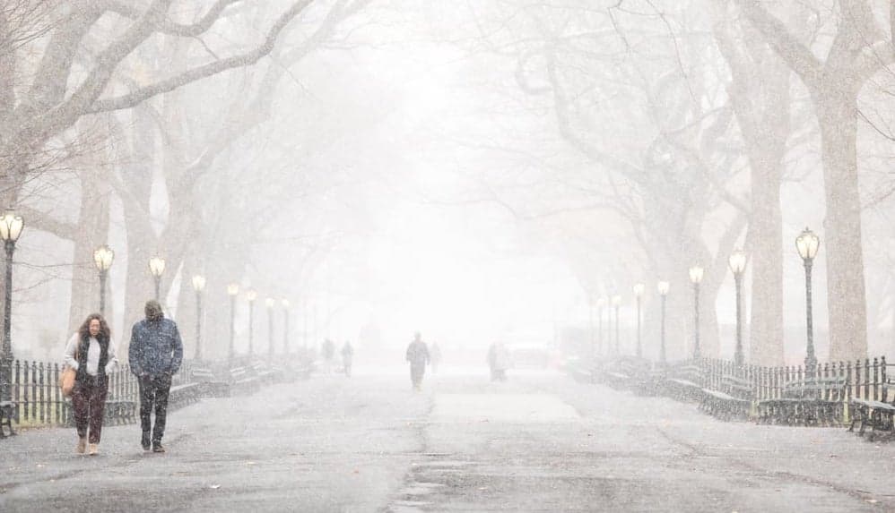 Tormenta invernal deja a miles de residentes sin electricidad en Nueva York y Nueva Jersey