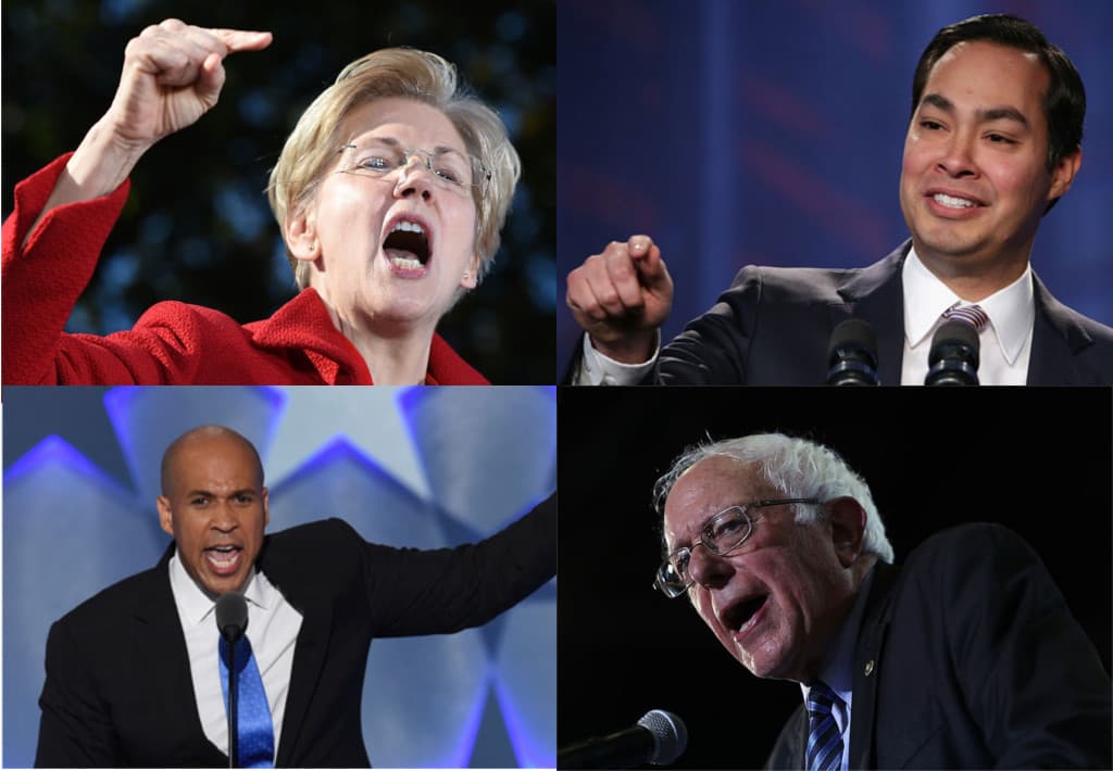 Estos son los 4 demócratas que podrían enfrentar a Trump en las presidenciales de 2020
