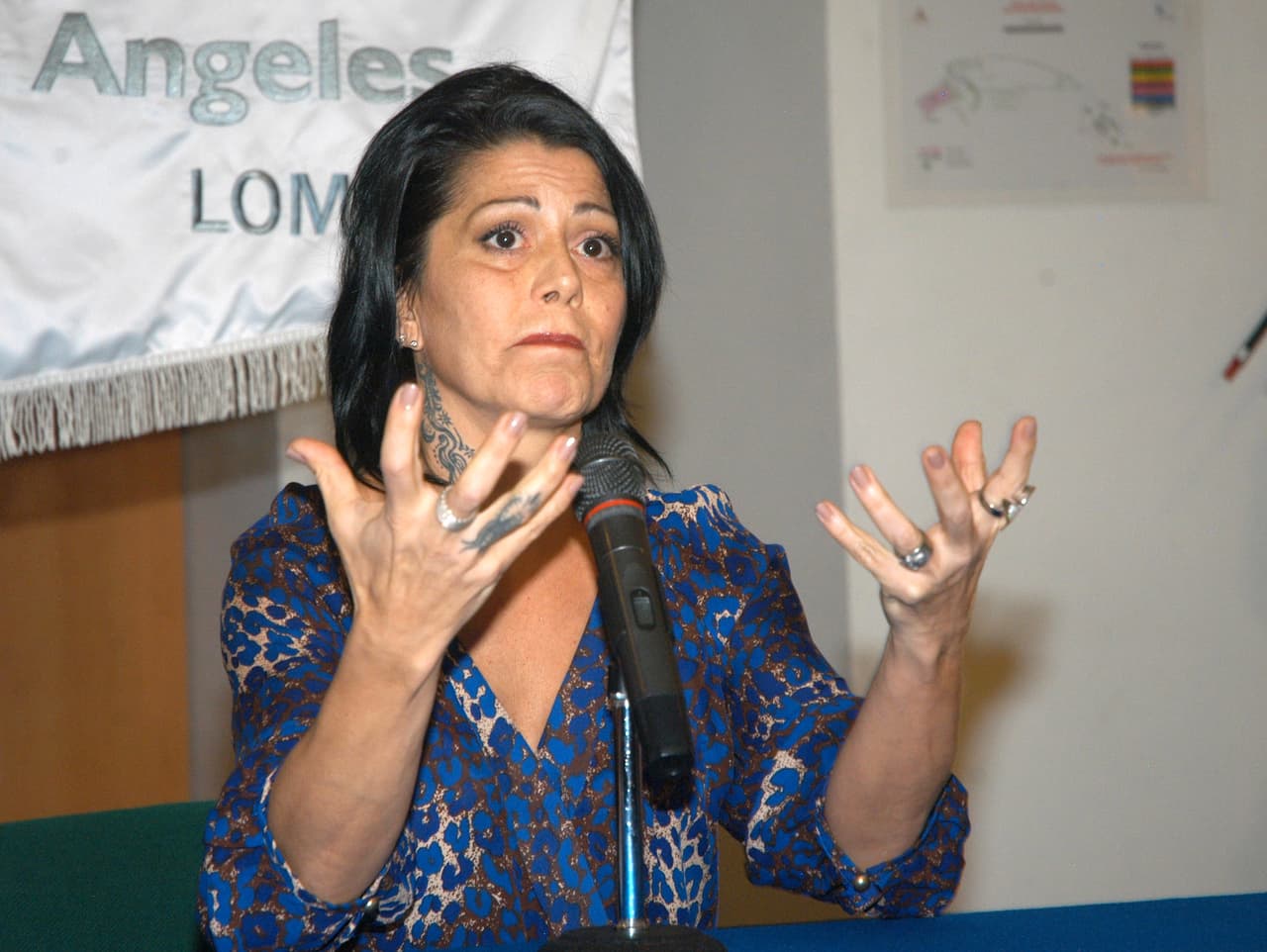 El pleito entre Alejandra y Frida se recrudeció el pasado 1 de julio tras una entrevista en la que la roquera dijo que su hija padecía de un 
<b><a href="https://www.univision.com/shows/el-gordo-y-la-flaca/alejandra-guzman-revela-que-su-hija-frida-sofia-sufre-un-trastorno-mental-y-dice-que-el-pleito-es-por-su-enfermedad-video" target="_blank">trastorno mental</a></b> (trastorno límite de la personalidad) y que entre ambas habían existido golpes.