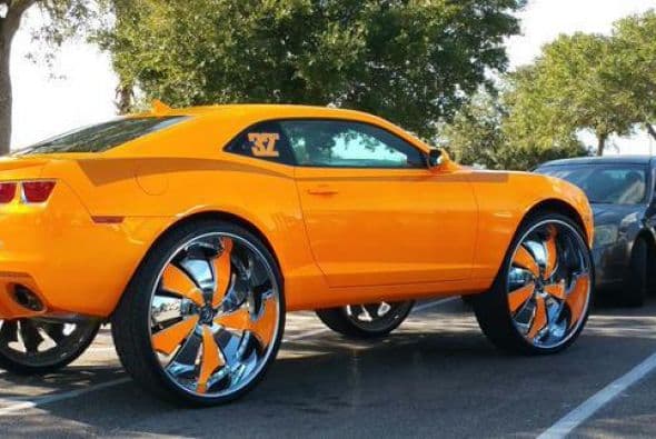 Cosas insólitas que solo se ven en Florida.