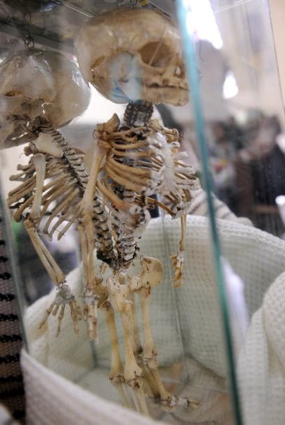 Cada ñatita tiene por lo general un nombre convencional.