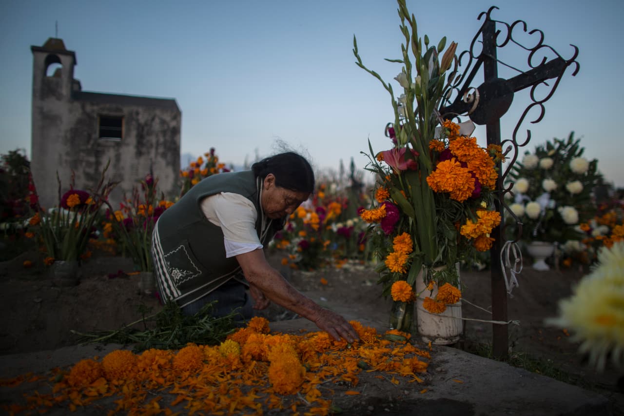 Más allá de sus beneficios medicinales, el cempasúchil incluso tiene una aparente propiedad repelente, ya que en algunos campos de Oaxaca, Chiapas, Hidalgo y el Estado de México se usan ciertas especies de la flor como biopesticidas para el control general de plagas.
