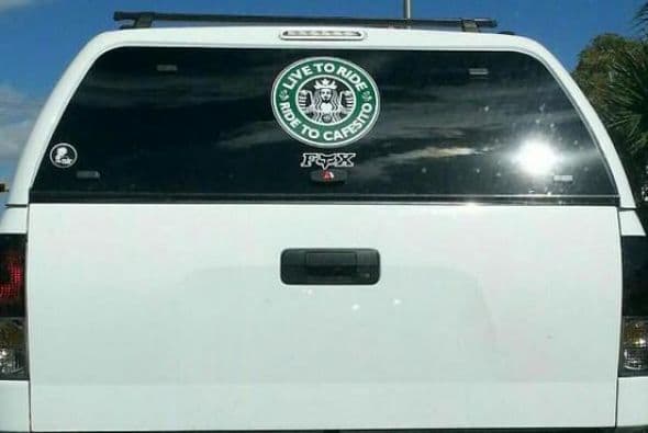 Cosas insólitas que solo se ven en Florida.