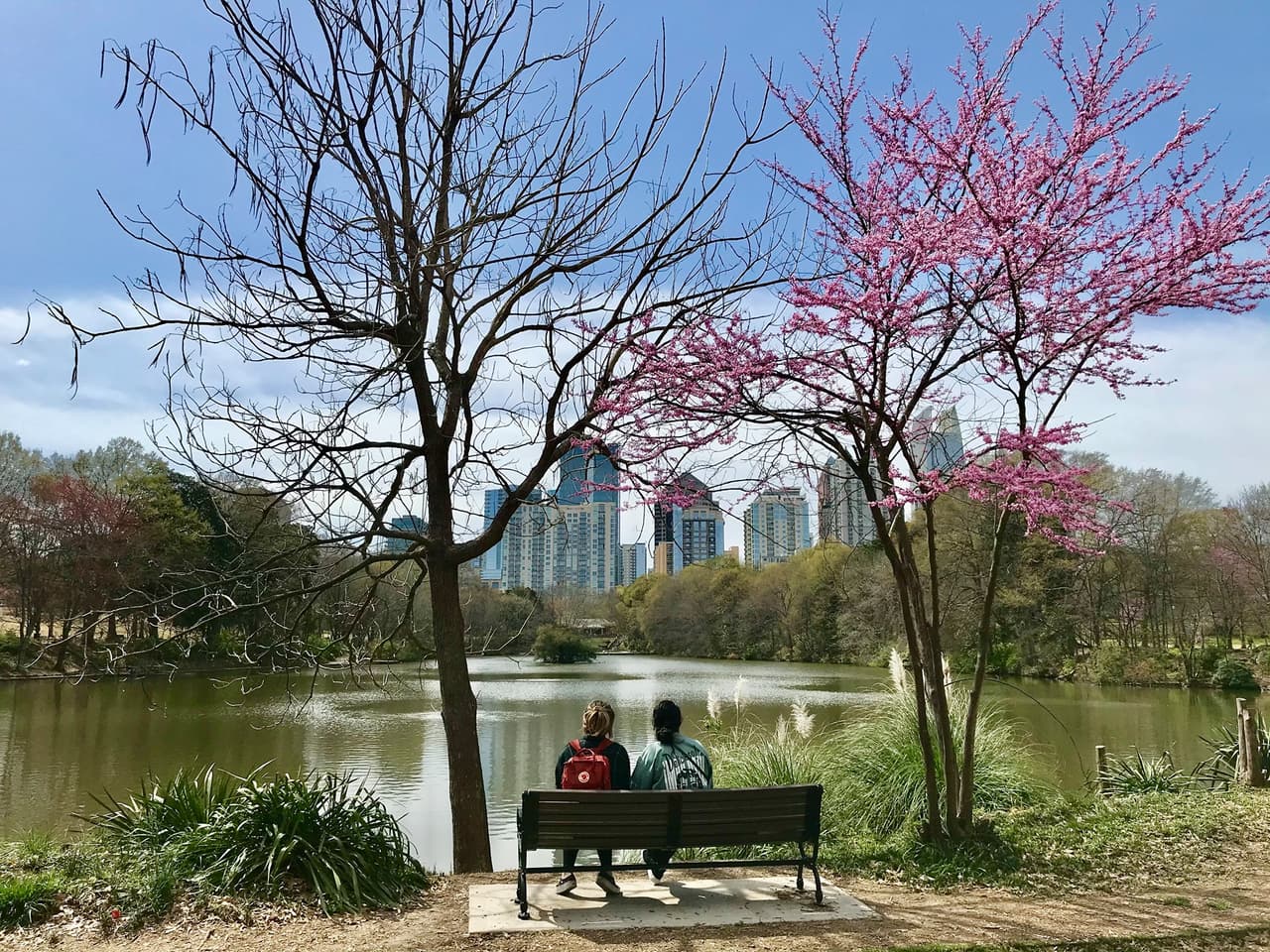 <b>VAYAN AL PARQUE</b>: Sal y disfruta del aire libre en uno de los parques y espacios al aire libre de Atlanta. El espacio verde más famoso de la ciudad es 
<b><a href="https://piedmontpark.org/" target="_blank">Piedmont Park</a></b>, pero está lejos de ser la única opción para pasar un tiempo al aire libre con mamá.