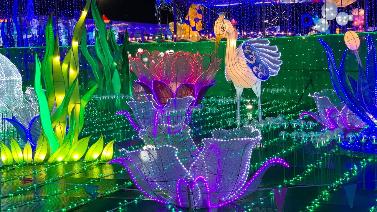 No se permite el ingreso de alimentos y bebidas que se hayan adquirido fuera del lugar. Tampoco el acceso de mascotas a menos de que sean de servicio.