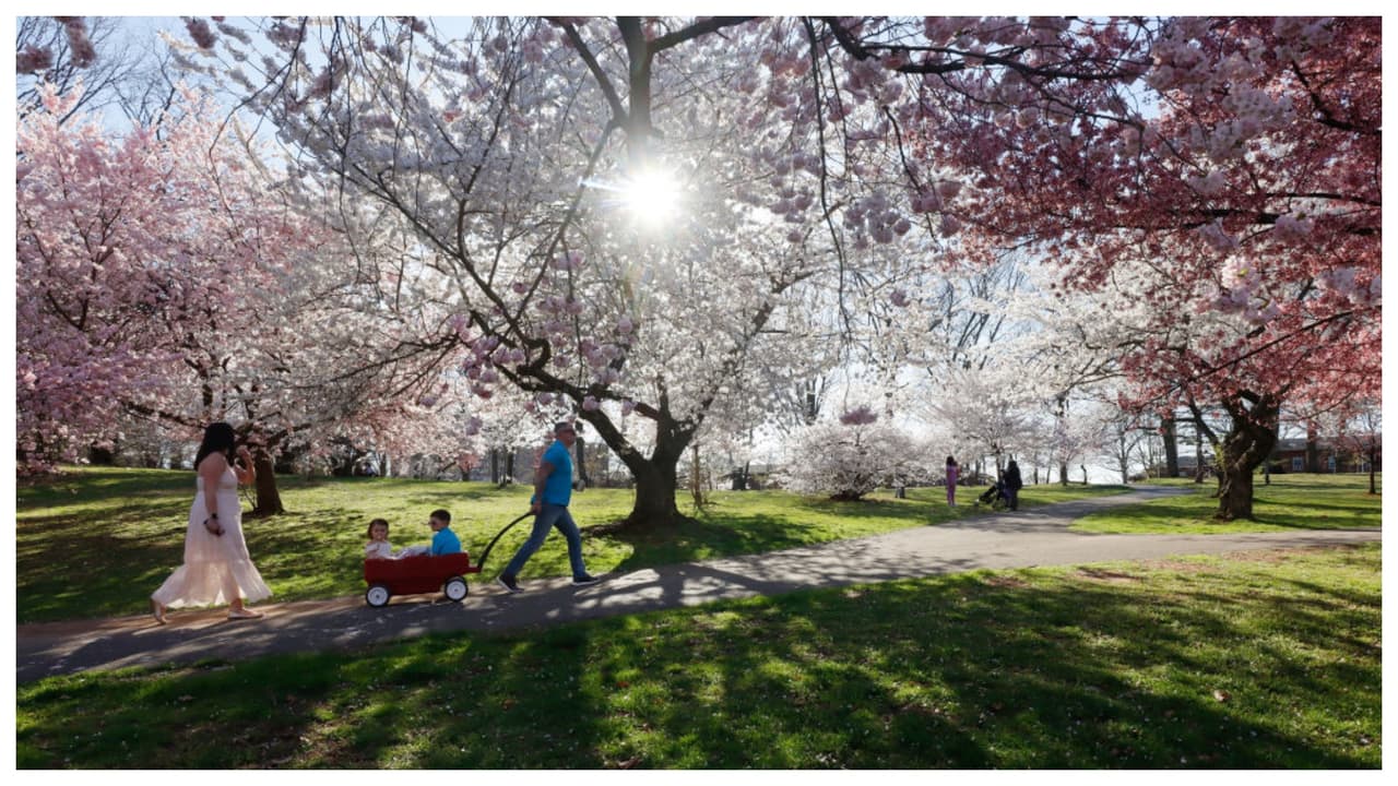Entre sus atractivos destaca el segmento de Lenape Trail. Se trata de un 
<b>singular sendero de 36 millas</b> urbano/suburbano que conecta 18 parques y 11 municipios en el condado de Essex. Para recorrerlo, hay disponibles mapas.
<br>
