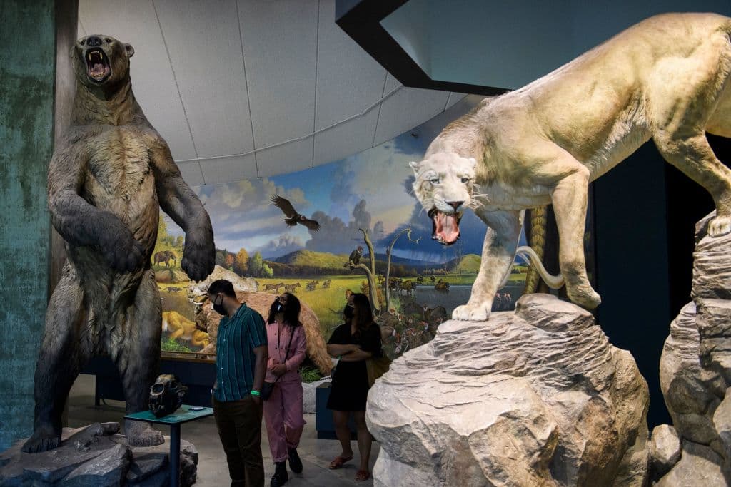 Brea Tar Pits Museum