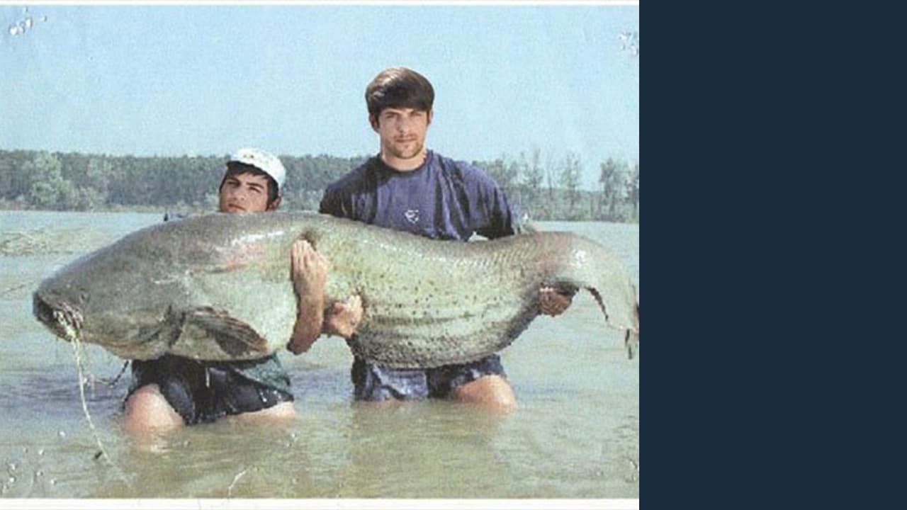 Los chicos Smash tienen sobre $8.5 millones de dólares en ganancias a través de sus redes sociales.