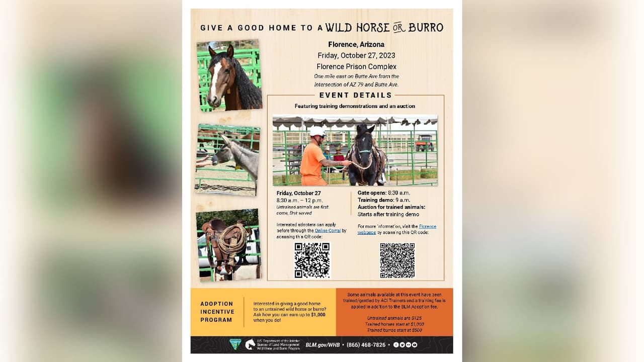Habrá subasta de caballos y burros entrenados