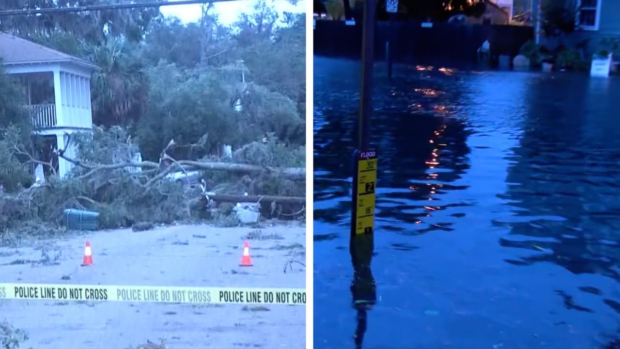 Elsa deja inundaciones y árboles caídos en Carolina del Sur 