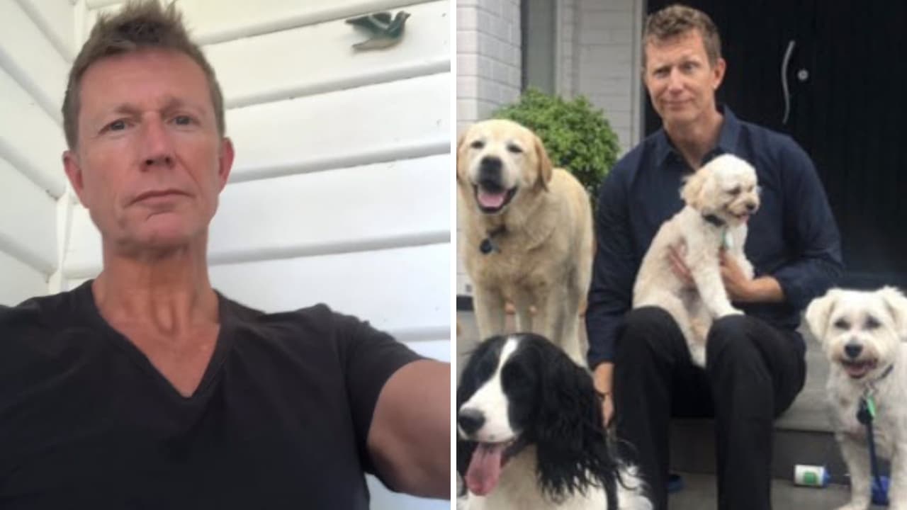 Muere comediante tras caerle rama de un árbol en un festival de rock