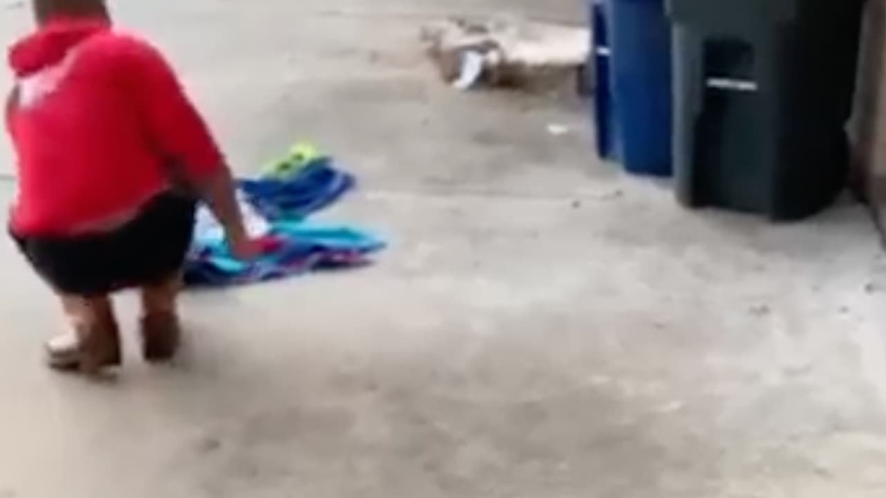 El padre decidió enfrentar al animal poniendo en práctica lo aprendido en el programa de Steve Irwin el 'Cazador de Cocodrilos', que asegura veía desde niño.