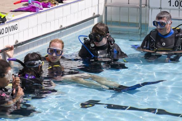 William se dio un alegre chapuzón