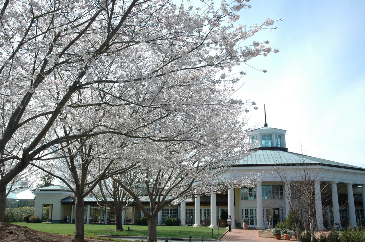 <b><a href="https://www.dsbg.org/">Daniel Stowe Botanical Gardens (Belmont)</a></b>: Ubicado en una propiedad frente al lago en la ciudad de Belmont, el Jardín Botánico Daniel Stowe se extiende a lo largo de 380 acres e incluye una docena de grandes jardines cuidados por profesionales, fuentes de agua, senderos naturales y un conservatorio dedicado a las orquídeas y plantas tropicales.