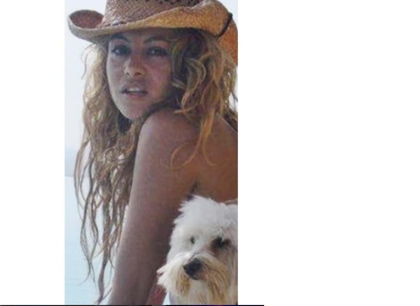 Varios famosos han promovido la adopción de perros, como Paulina Rubio quien recordó a su perro 'Filipo' que adoptó hace algunos años. “Adoptar a un perrito, es vivir feliz”.