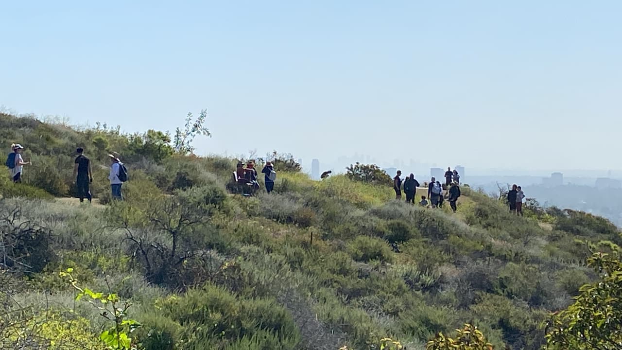El primer mirador lo encontrarás a solo 1.5 millas subiendo por el portón principal del sendero. Un camino un poco estrecho, pero seguro para caminar y hasta correr.