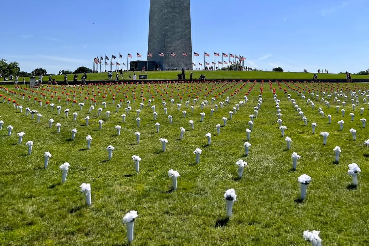 VIDEO: Más de 45,000 flores estarán instaladas esta semana al pie del Monumento a Washington en el National Mall, en honor a las víctimas de violencia armada.