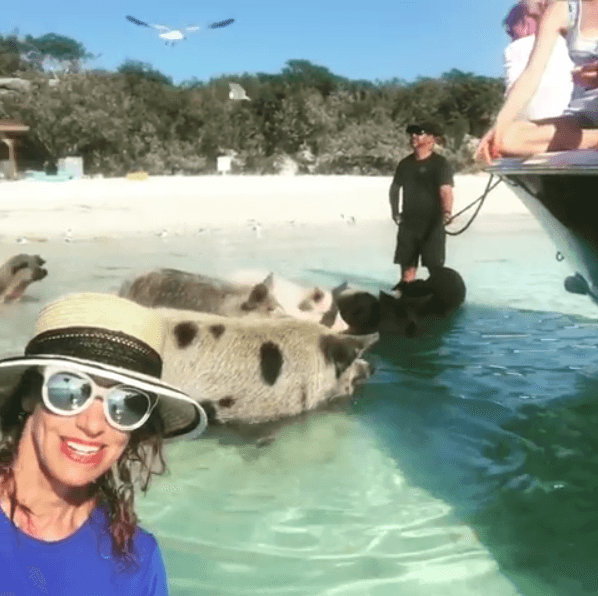 Lili Estefan no perdió tiempo, así que se aventuró a esta increíble y exótica experiencia de nadar junto a unos adorables cerditos.