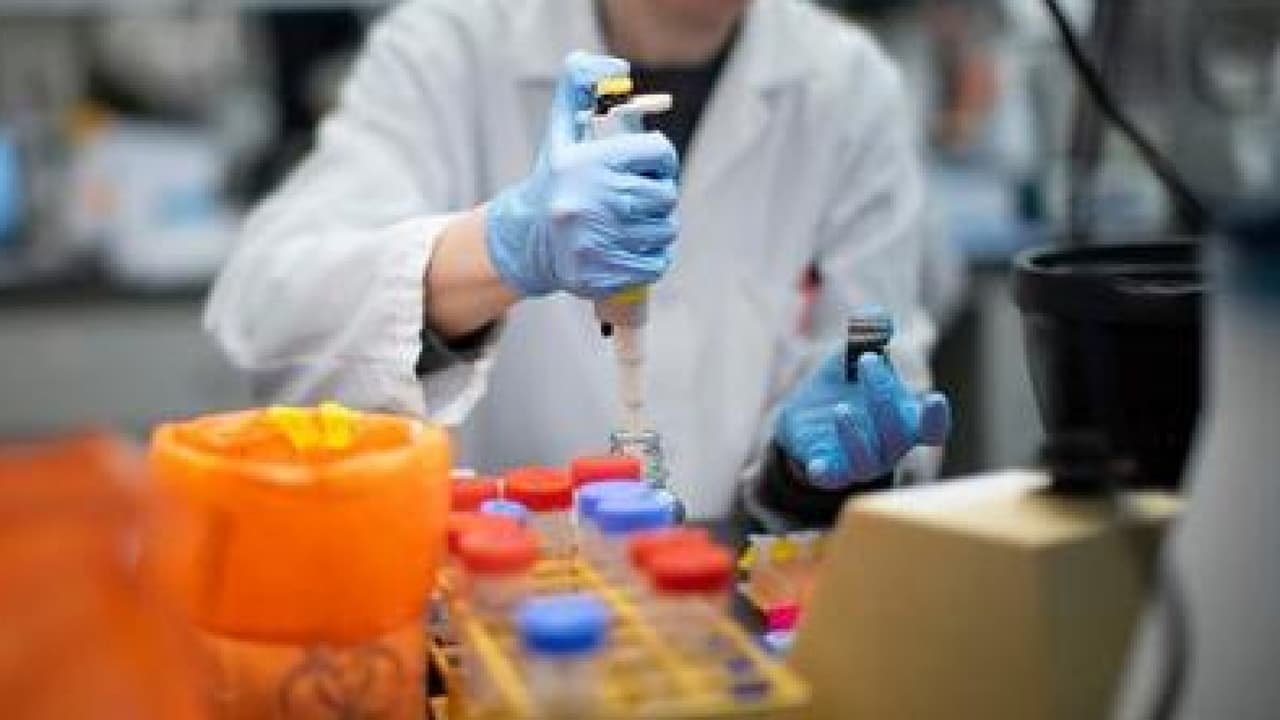 ¿Qué sucede si deseo hacerme una prueba de coronavirus pero no tengo seguro de salud?