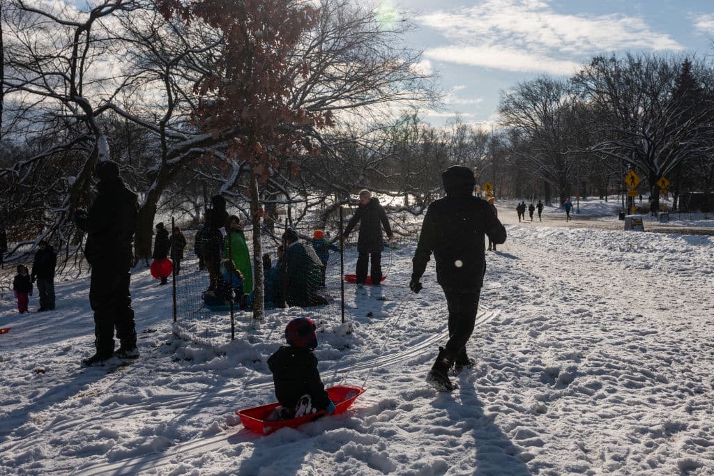 Para algunos de los pequeños que llegaron con sus familias al 
<b>Prospect Park en Brooklyn</b> se trató de 
<b><a href="https://www.univision.com/local/nueva-york-wxtv/nueva-york-mayor-nevada-dos-anos-acumulados-nieve-dejo" target="_blank">su primera experiencia con la nieve,</a></b> que probablemente los acompañará por el resto de sus vidas.