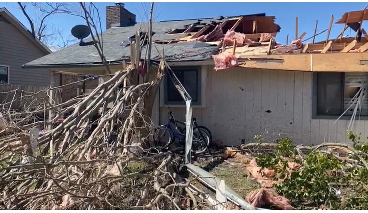 Artículos como guantes, bolsas de basura, lonas y comida para perros y gatos.