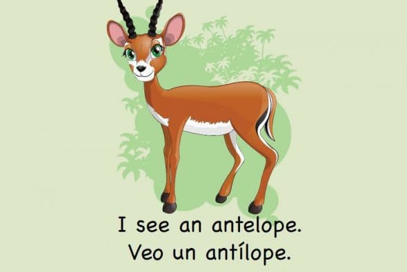 Te traemos este primer libro bilingüe de nivel A con las frases más usadas (high frecuency words) en las escuelas, para que practiques con tu pequeño.