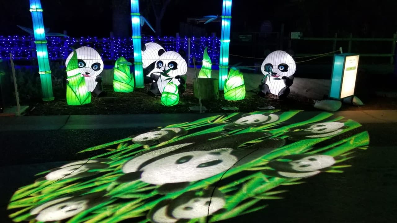 La experiencia para las y los pequeños puede ser única.