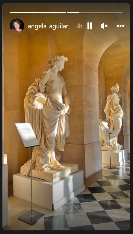 Lo que sí ha hecho él y otros miembros de su familia,como la propia Ángela Aguilar, es documentar parte de su viaje por Francia.
<br>