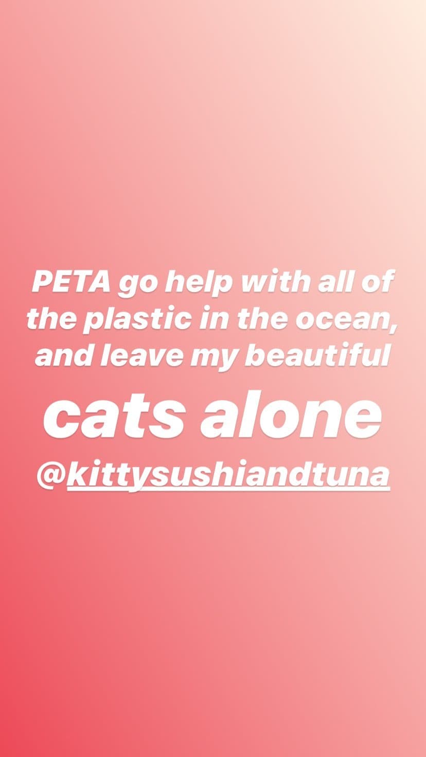 En una segunda publicación, instó a PETA a "limpiar todo el plástico del océano y deja a mis hermosos gatos en paz".