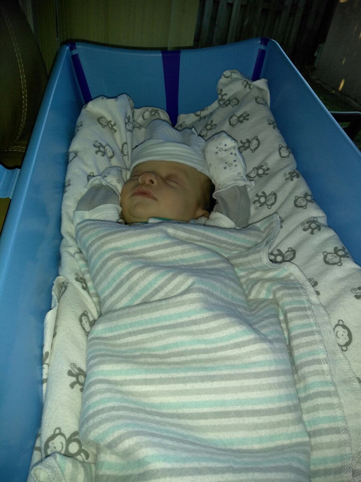 ¿Qué estará soñando Sebastián aquí?