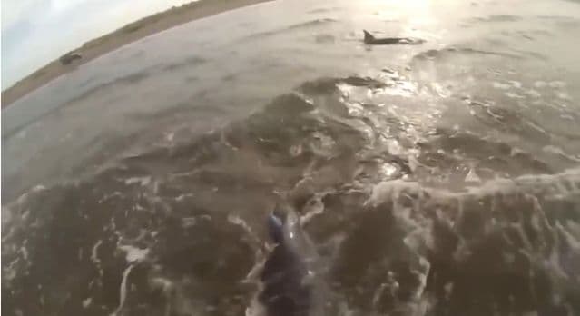 Videos de impacto - 23 de noviembre