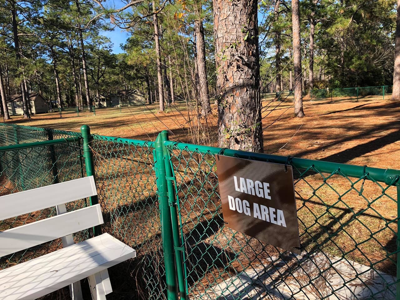 El lago del parque ofrece oportunidades para pescar, nadar y pasear en bote, y se pueden alquilar kayaks y bicicletas. Por si fuera poco, cuenta además con un parque para perros.