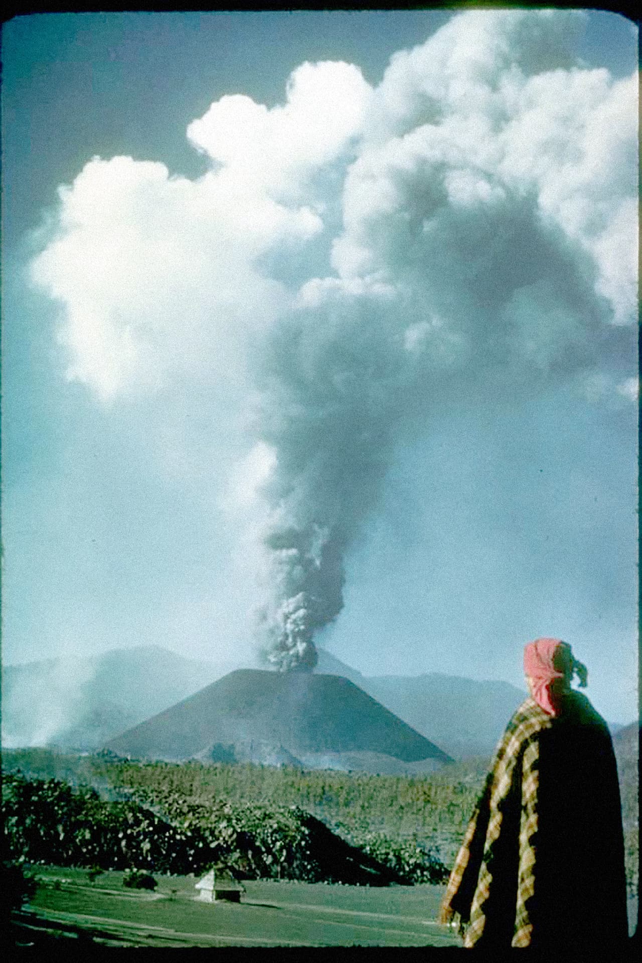 <b>1943</b>. El Paricutín a pocas semanas de su nacimiento, todavía rodeado de maizales. La lava que expulsó este volcán recorrió cerca de seis millas (10 kilómetros).