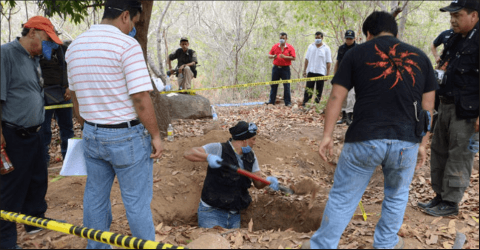 Los brigadistas aseguran no querer hacerle el trabajo a las autoridades, pero tampoco pueden seguir esperando de brazos cruzados.
