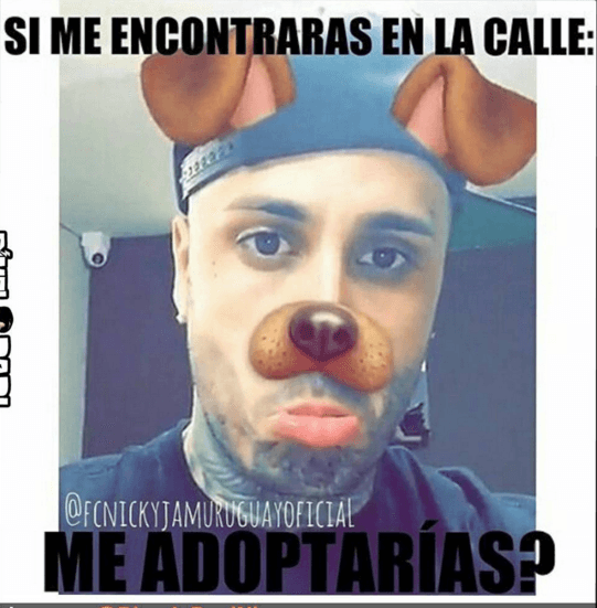 Hablando de perritos.